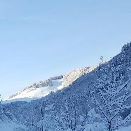 Σπίτι διακοπών La Maison Bleue Sainte-Marie-aux-Mines