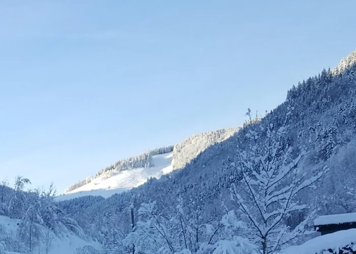 Hébergement de vacances La Maison Bleue Sainte-Marie-aux-Mines